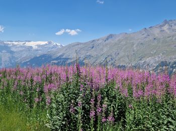 Tocht Stappen Val-Cenis - Savoie_Val-Cenis_Lac de l'Arcelle - Photo