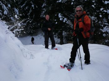 Randonnée Raquettes à neige Selonnet - Crète des melezes - Photo