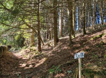 Excursión Bici de montaña La Salvetat-sur-Agout - 240829_vtt_2 - Photo