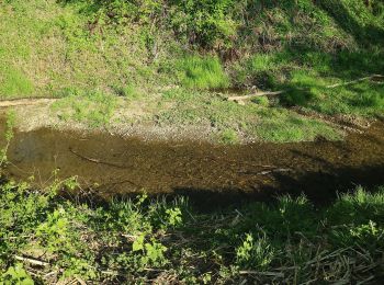 Percorso A piedi Hausmannstätten - Rundwanderweg 12 - Photo