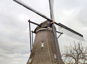 Tocht Stappen Molenlanden - Les moulins de Kinderdijk (8,6km)  - Photo