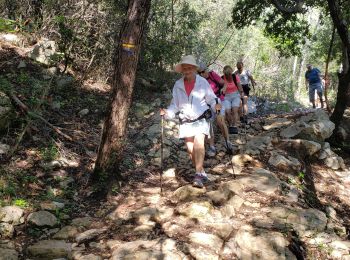 Trail Walking Montauroux - Les gorges de la Siagne et les chênes pluricentenaires - Photo