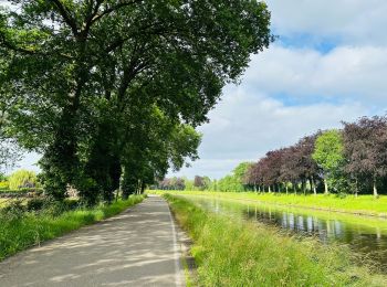 Randonnée Marche Lanaken - La réserve naturelle Oud Weerd à Oud-Rekem - Photo