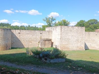 Tour Wandern Nègrepelisse - Negrepelisse  - Photo