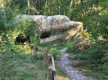 Trail Walking Coincy - la hottes du diable  - Photo