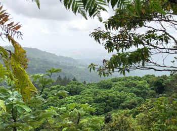 Randonnée Marche Gros-Morne - Palourde duchesneteau  - Photo