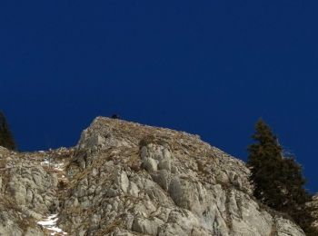 Tour Skiwanderen Mieussy - CHAVASSE + CHAVAN+ HTE POINTE - Photo