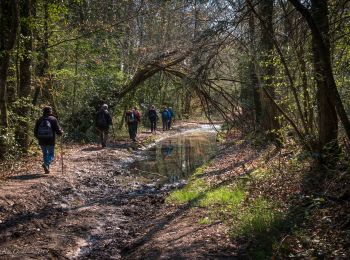 Trail Walking Charencey - Saint-Maurice-les-Charencey - Tourouvre 28 km - Photo
