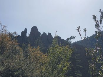 Tour Wandern Barrême - 18-10-2022 Pied Marcelin - Château plus haut - Photo