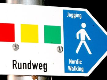 Trail On foot Gochsheim - Rundweg 2 - Photo