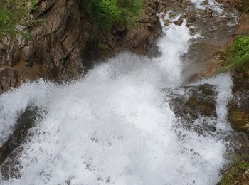 Tocht Stappen Montriond - La cascade de Montriond - Photo