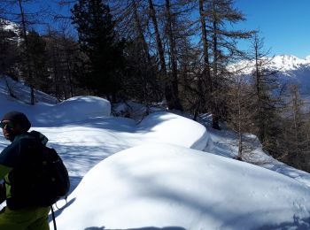 Trail Touring skiing Crévoux - 210321 arête de la Ratelle - Photo