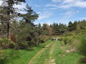 Trail Walking Saint-Jean-la-Fouillouse - forêt de Pateus - Photo