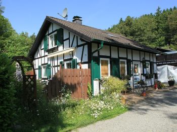 Tocht Te voet Engelskirchen - Loope Rundweg A5 - Photo