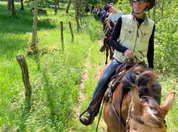 Trail Horseback riding Favières - Favieres 2ème jours  - Photo