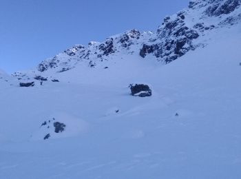 Trail Touring skiing Les Adrets - la dent noire de bedina - Photo