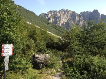 Trail On foot Crespadoro - 202, Francesco Milani - Photo