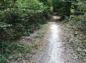 Trail Walking Quincy-sous-Sénart - 24/09/2020 - Photo