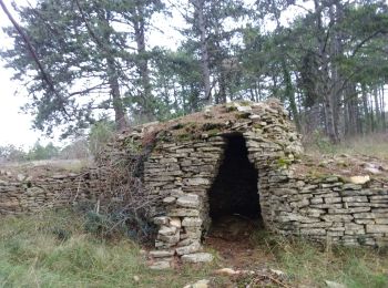 Tour Wandern Magny-lès-Villers - magny 12 12 19  - Photo