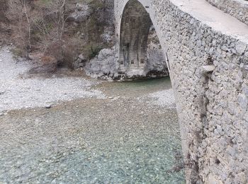 Excursión Senderismo Rougon - 2023-02-24 Pont de Tusset - Rancoumas - Entreverges  - Photo
