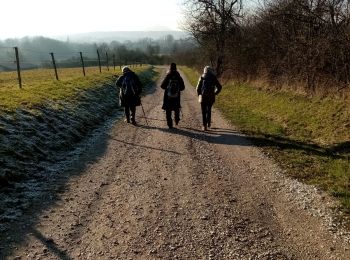 Trail Walking Frahier-et-Chatebier - frahier - Photo