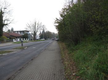 Percorso A piedi Sconosciuto - Blütenweg - Herkules - Photo