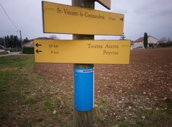 Trail Walking Saint-Vincent-la-Commanderie - bois des masques/ St Vincent la Commanderie - Photo