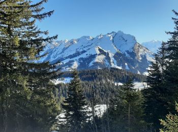 Tour Schneeschuhwandern Manigod - croix fry 20220123 - Photo