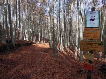 Trail On foot Pannarano - Dalla montagna di sotto alla montagna di sopra - Photo