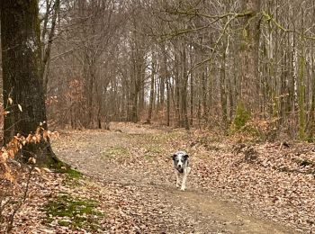 Tour Wandern Florenville - Les Epioux - Photo