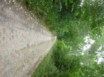Randonnée A pied Bierbeek - Sint-Ermelindiswandelpad - Photo