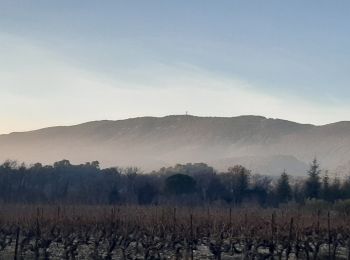 Tour Wandern Saint-Martin-de-la-Brasque - St Martin de la Brasque - Photo