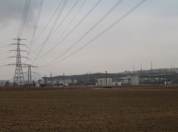 Tour Zu Fuß Gemmrigheim - DE-SAV Roter Punkt, Gemmrigheim - Mundelsheim - Photo