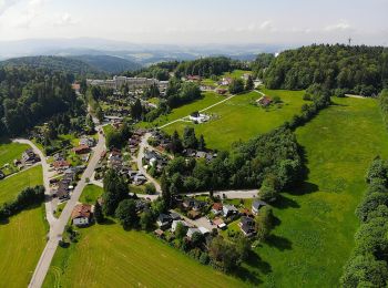 Trail On foot Freyung - Rundwanderweg Nr. 6 