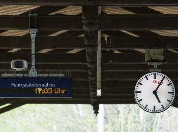 Tour Zu Fuß Friedrichroda - Rundweg Friedrichroda - Photo