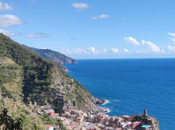 Trail Other activity Vernazza - Vernazza to Monterosso to Vernazza  - Photo