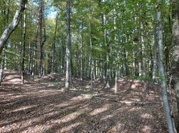 Randonnée A pied Tieschen - Hügelgräberweg - Photo