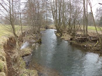 Percorso A piedi Steinau an der Straße - Steinau a.d. Straße - Wartenrundweg - Photo