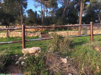 Trail On foot Mate Yehuda Regional Council - Meara stream - Photo