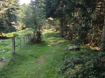 Randonnée Marche Adervielle-Pouchergues - boucle val louron  - Photo