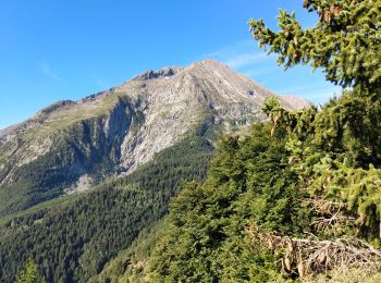 Trail Walking Ornon - Plateau des lacs, lac Fourchu. par bergerie - Photo