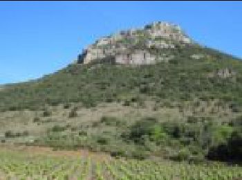 Tour Wandern Cabrières - Cabrières Les Crozes - Photo