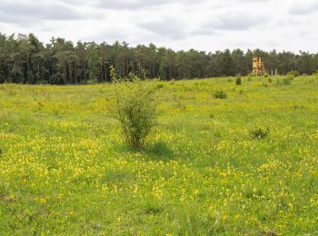 Tour Zu Fuß Warburg - Rundwanderweg 