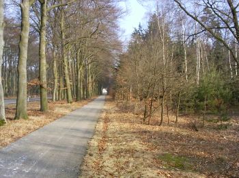 Randonnée A pied Ede - Buunderkamp - Rode pijl - Photo