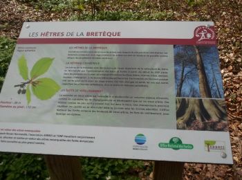 Trail Walking Houppeville - 20220412-La Breteque - Photo