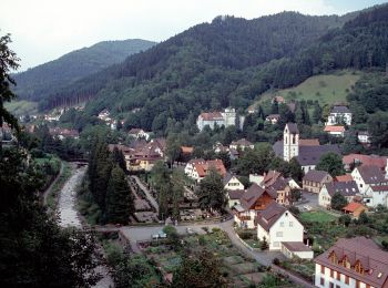 Randonnée A pied Wolfach - Wolfach - Salzlecke - Photo
