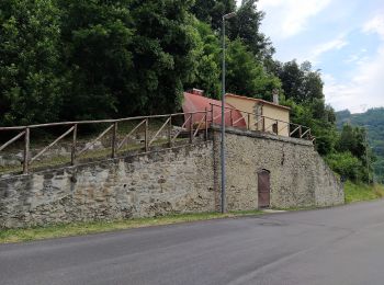 Randonnée A pied Cantagallo - Sentiero CAI 14 - Sez. Prato - Photo
