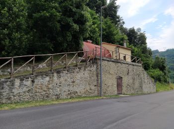 Tocht Te voet Cantagallo - Sentiero CAI 14 - Sez. Prato - Photo