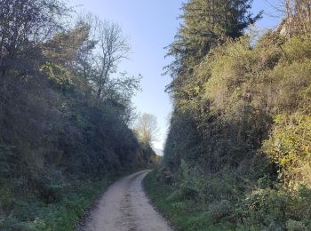 Tour Wandern Périgneux - Marieux  - Photo