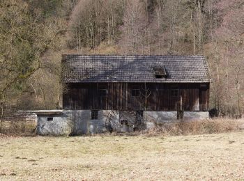 Percorso A piedi Steinwiesen - Zweiwasser-Weg RT 24 - Photo